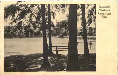 Buntenbock - Nassenwieser Teich - Clausthal -684732