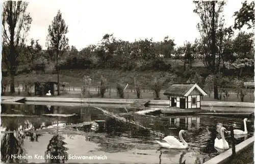 Nieheim in Westfalen - Schwanenteich -684806