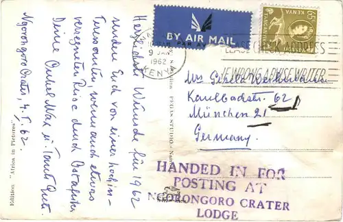 Elephant - East African Game -684970