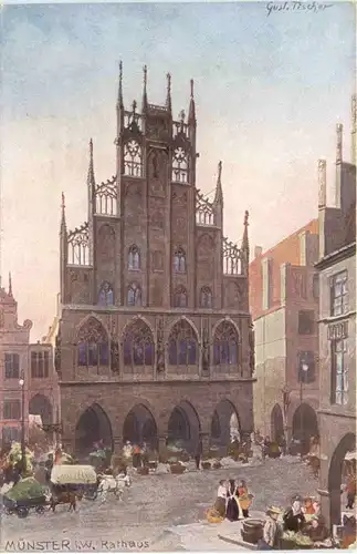 Münster i. Westfalen - Rathaus -685380