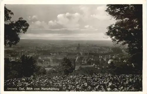 Amberg, Blick vom Mariahilfberg -546980