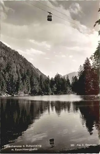 Taubensee bei Ruhpolding mit Rauschbergbahn -547120