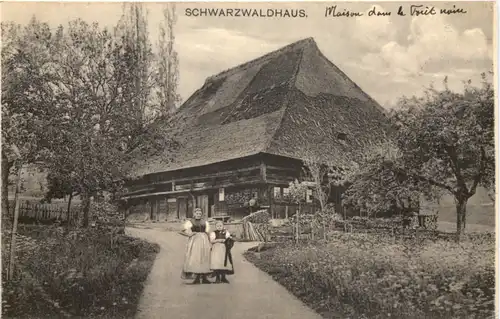 Schwarzwaldhaus -547374