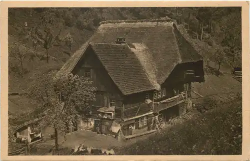 Schwarzwald, Bauernhaus -547364