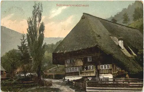 Schwarzwaldhaus -547382