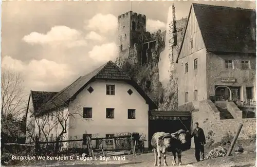 Regen, Burgruine Weissenstein -548156