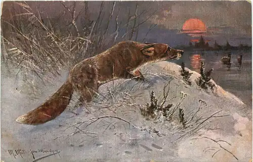 Fuchs - Künstler Ak Müller -686044