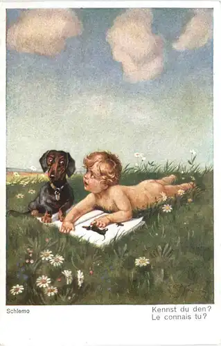 Künstler Ak Schlemo - Dackel -686084