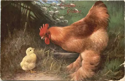 Ostern - Hühner -686144