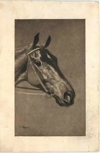 Pferd - Horse -686132