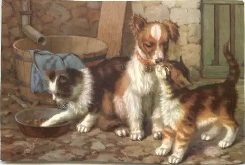 Hund und Katzen -686046