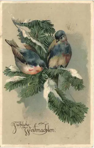 Weihnachten - Vögel - Prägekarte -686066