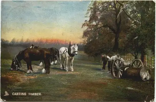 Carting Timber - Pferde -686160
