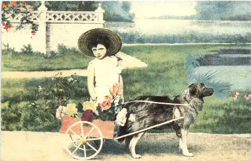 Hundekutsche -686250