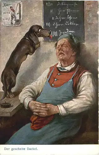 Hund - Ein gesunder Dackel -686330