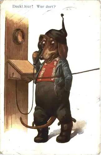 Hunde - Dackel -686344