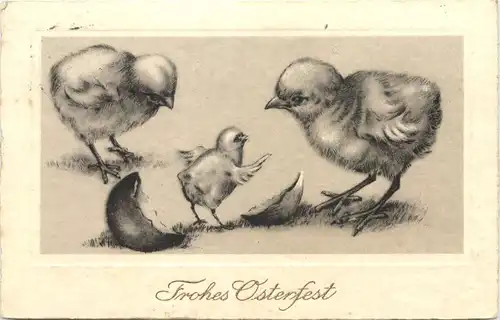Ostern - Kücken -686318