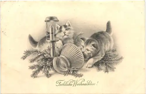 Weihnachten - Katzen -686322