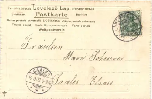 Kühe - Hermann und Dorothea -686276