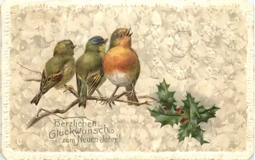 Neujahr - Vögel - Prägekarte -686316