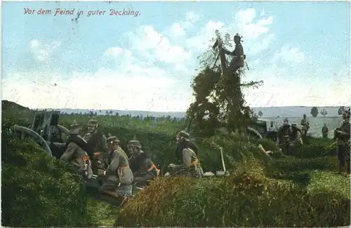Vor dem Feind in guter Deckung -686520