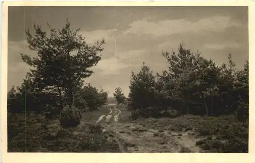 Heideweg bei Gütersloh -686840