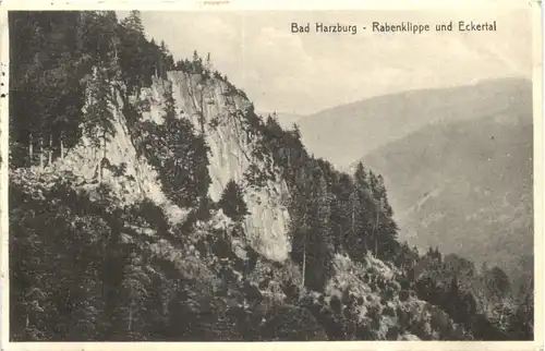 Bad Harzburg - Rabenklippe -686954