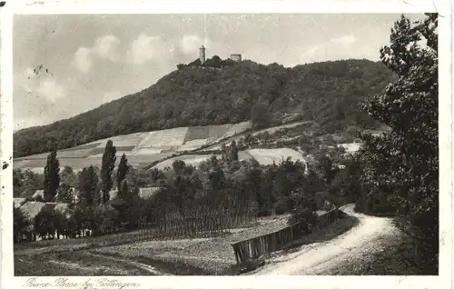 Ruine Plesse bei Göttingen -686944