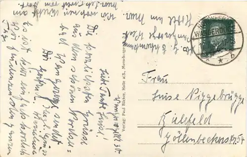 Wangerooge - Seemöwen -686906