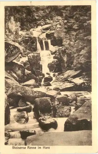 Steinerne Renne im Harz - Hasserode -687130