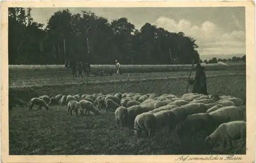 Schäfer - Bahnpost Hagen - Dieringhausen -687126