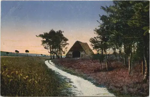 Heidelandschaft - gelaufen Oerlinghausen -687198