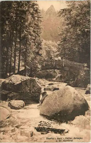 Okertal i. Harz - Celler Anlagen -687306