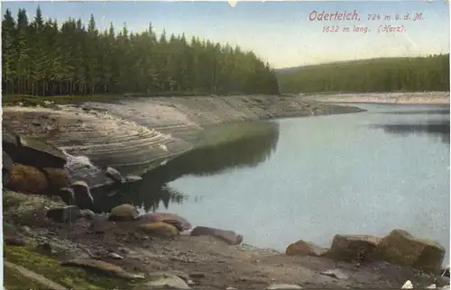 Oderteich Harz - Torfhaus -687792