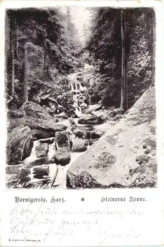 Wernigerode - Steinerne Renne -688292