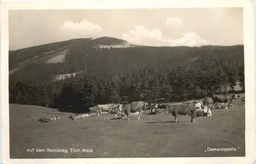 Auf dem Rennsteig - Damenkapelle -688388