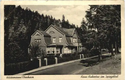 Wildemann - Haus Hubertus -688366