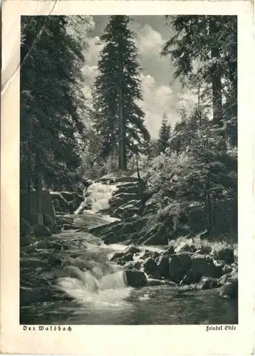 Künstler Ak Friedel Ohle -688398