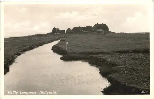 Hallig Langeness - Hilligenlei -688484