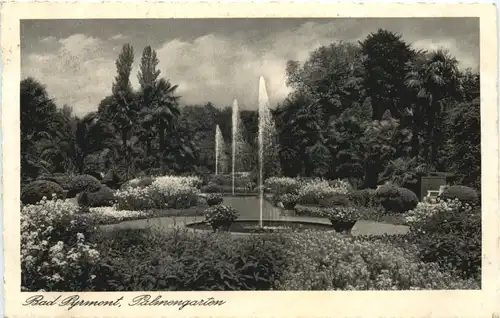 Bad Pyrmont - Palmnengarten -688516