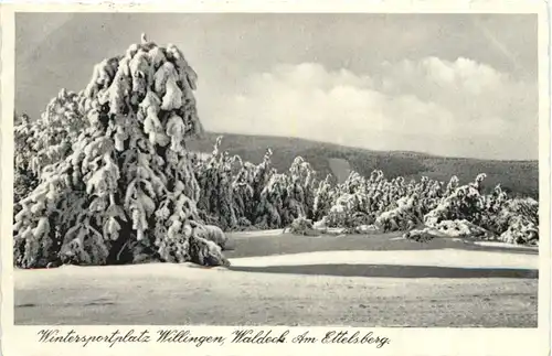 Willingen - Waldeck - Am Ettelsberg -688750