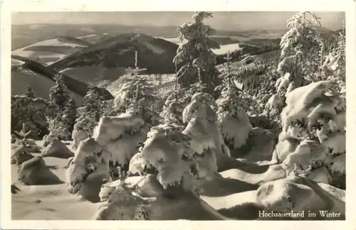 Hochsauerland im Winter -688766