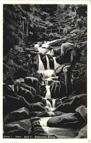 Steinerne Renne - Harz -688756