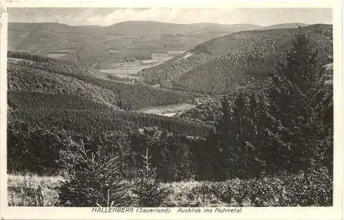 Hallenberg - Sauerland -688816