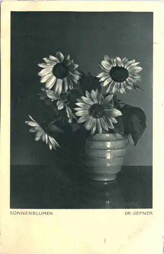 Künstler Ak Dr. Defner - Sonnenblumen -688956