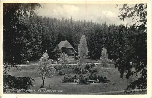 Braunlage - Verlobungswiese -689062