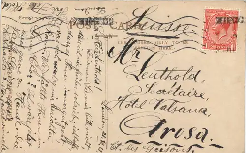 Christmas Cheer -689370