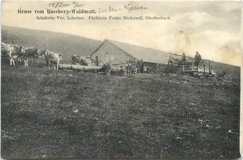 Gruss vom Rossberg-Waldmatt -689512