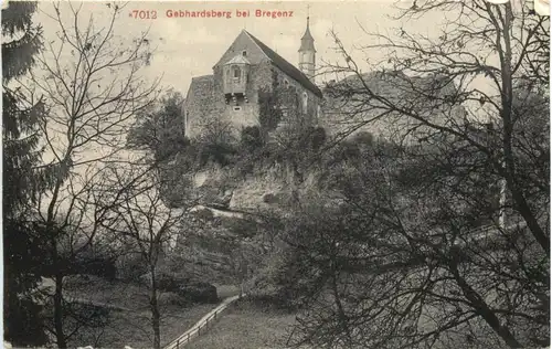 Gebhardsberg bei Bregenz -689496