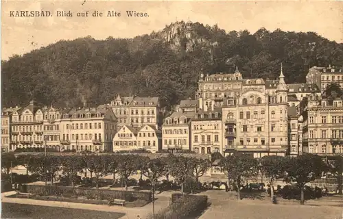 Karlsbad - Alte Wiese -690294